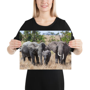 Africa Serengeti, Elephant Family