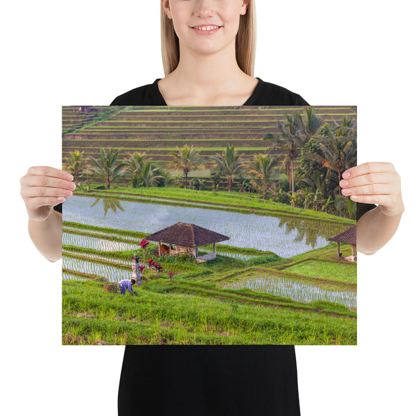 Bali Rice Terraces with the Balinese Woman